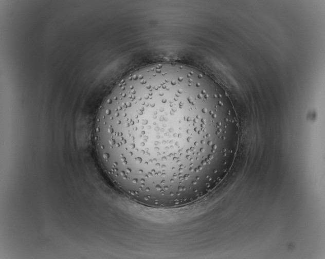 X0000096960030200802151246