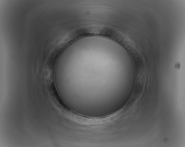 X0000096960031200802151246