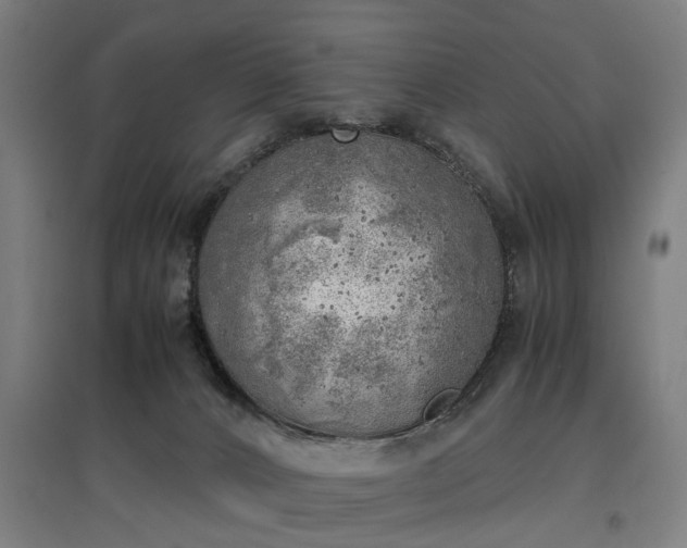 X0000096960032200802151246