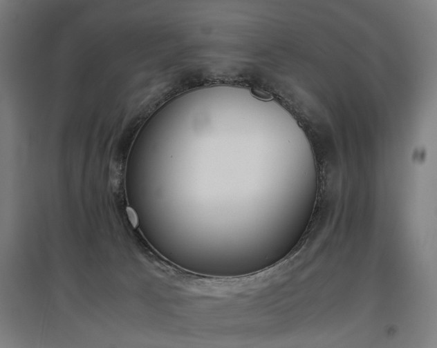 X0000096960033200802151246