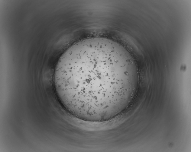 X0000096960034200802151246