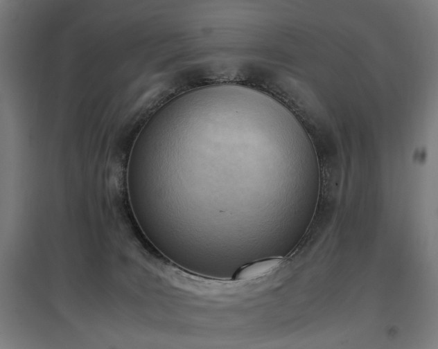 X0000096960035200802151246