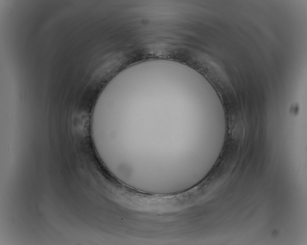 X0000096960036200802151246