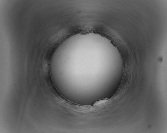 X0000096960037200802151246