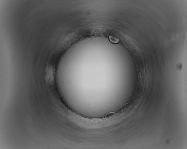 X0000096960038200802151246