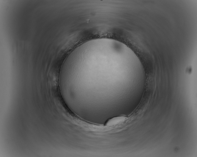 X0000096960039200802151246