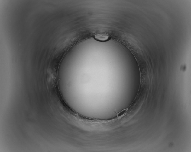 X0000096960040200802151246