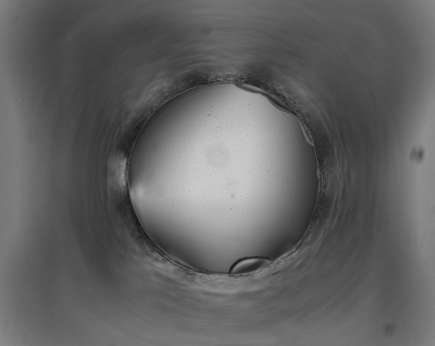 X0000096960041200802151246