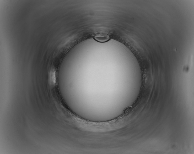 X0000096960042200802151246