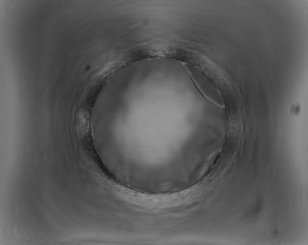 X0000096960043200802151246