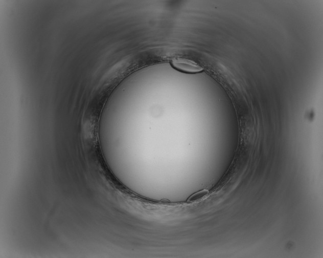 X0000096960044200802151245