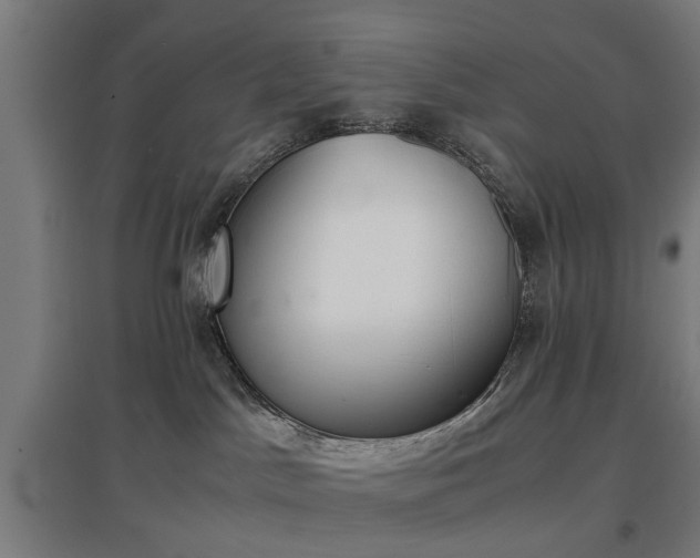 X0000096960045200802151245