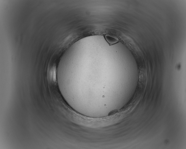 X0000096960046200802151245