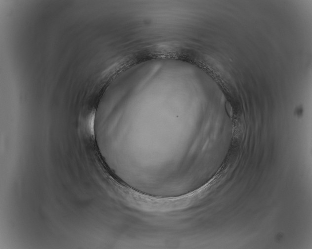 X0000096960047200802151245