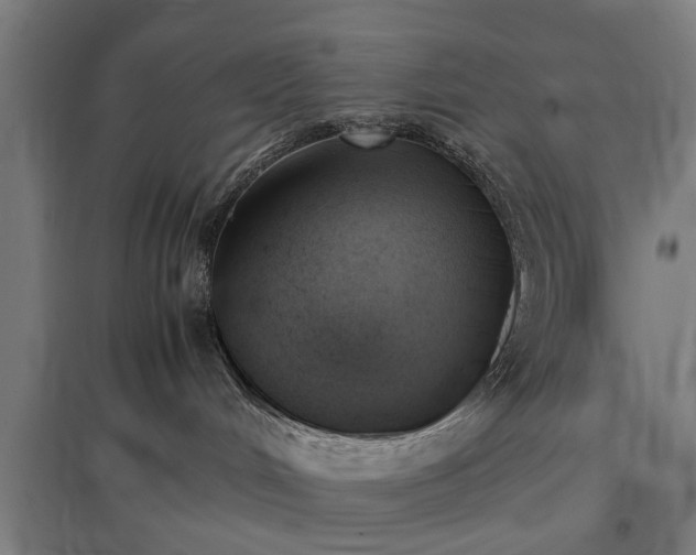 X0000096960048200802151245