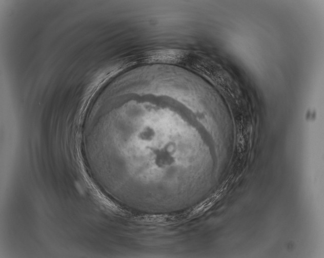 X0000096960049200802151245