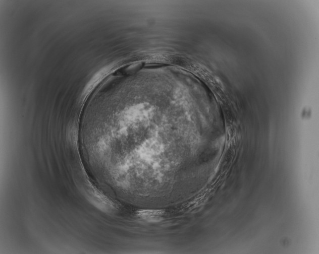 X0000096960051200802151245