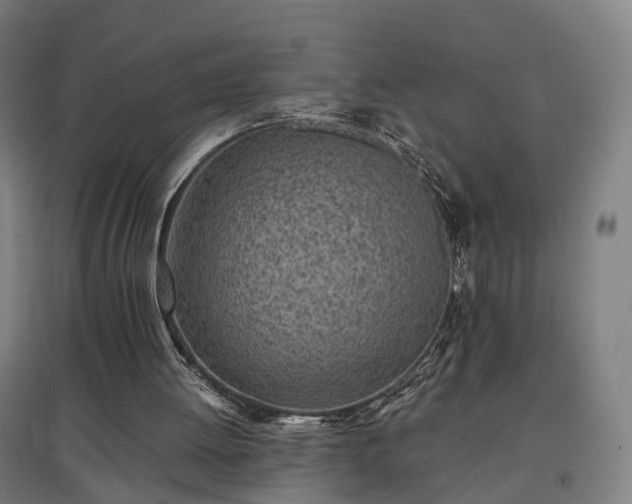 X0000096960052200802151245