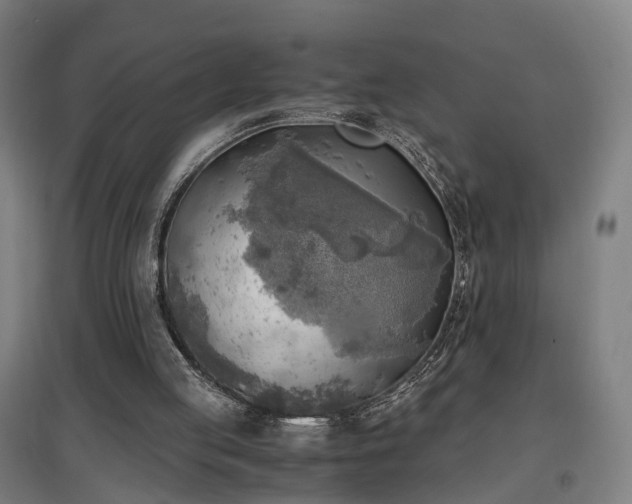 X0000096960053200802151245