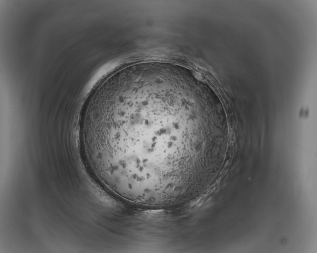 X0000096960054200802151245
