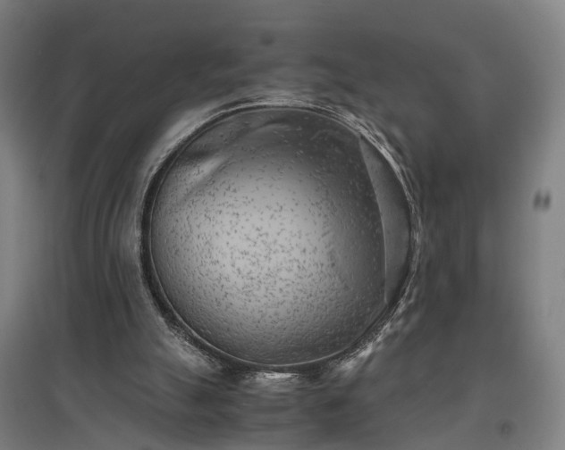 X0000096960055200802151245