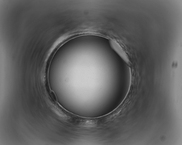 X0000096960056200802151245