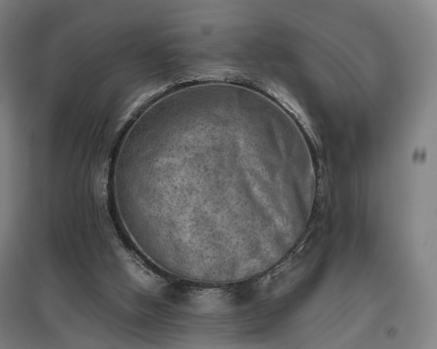 X0000096960058200802151245