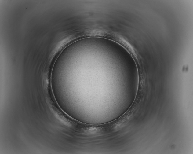 X0000096960059200802151245