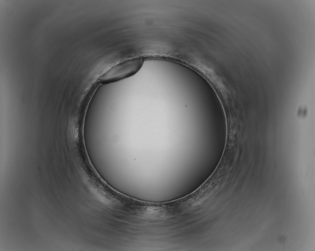 X0000096960060200802151245