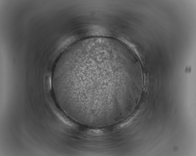 X0000096960061200802151245