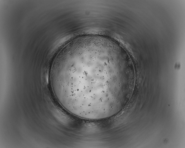 X0000096960062200802151245