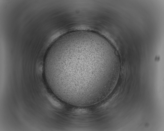 X0000096960063200802151245