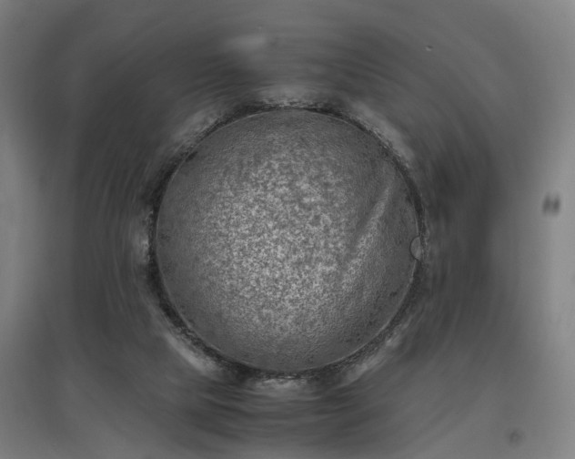 X0000096960065200802151245