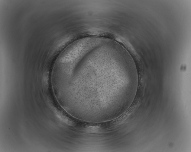 X0000096960066200802151245