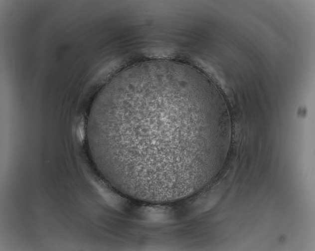 X0000096960069200802151245