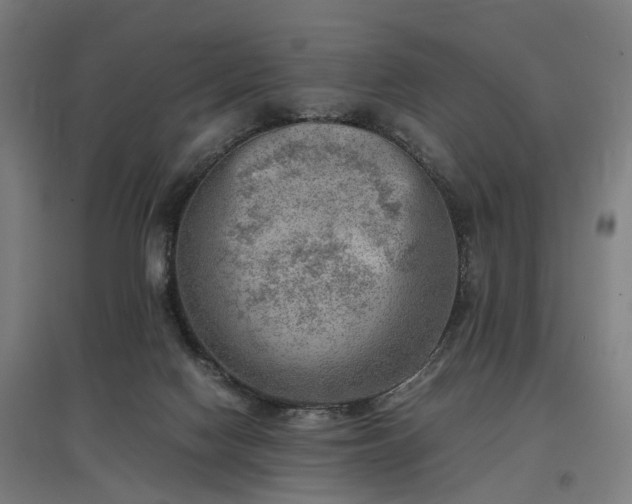 X0000096960074200802151245