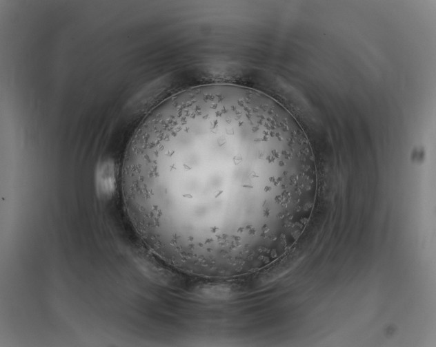 X0000096960075200802151245
