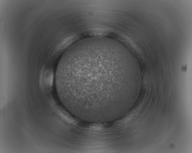 X0000096960076200802151245