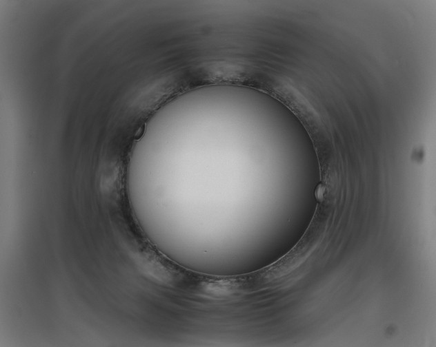 X0000096960079200802151245