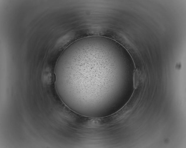 X0000096960080200802151245