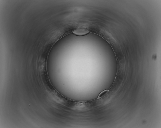 X0000096960083200802151245