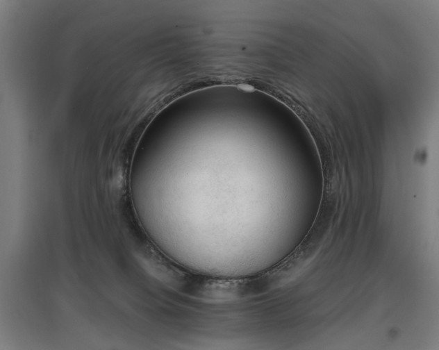 X0000096960084200802151245