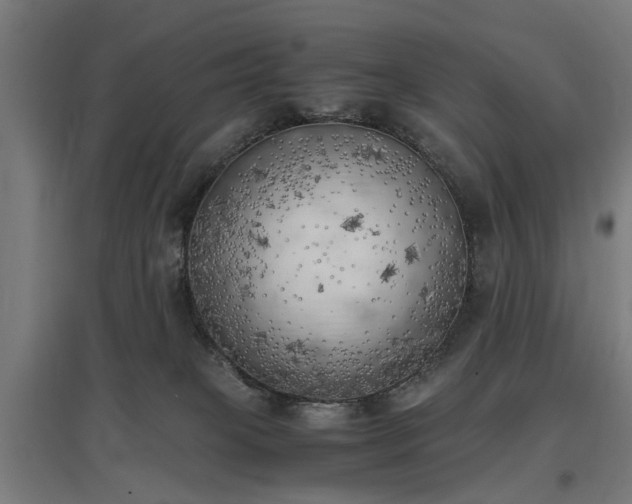 X0000096960085200802151245