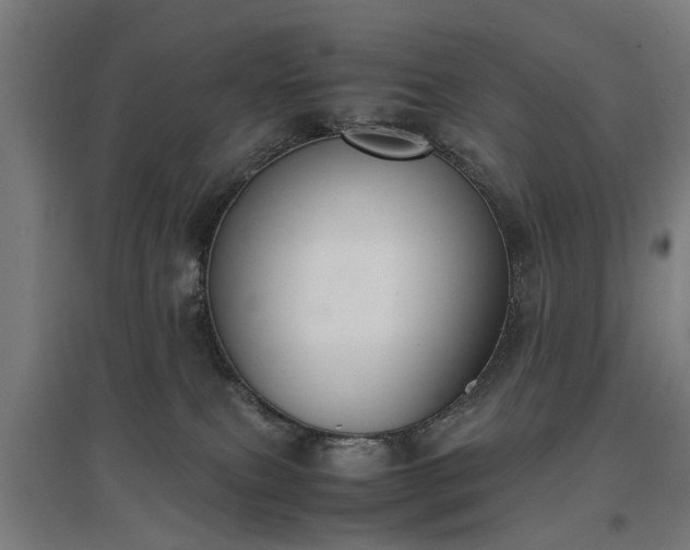 X0000096960087200802151245