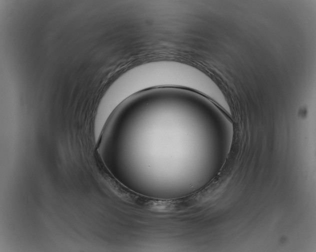 X0000096960088200802151245