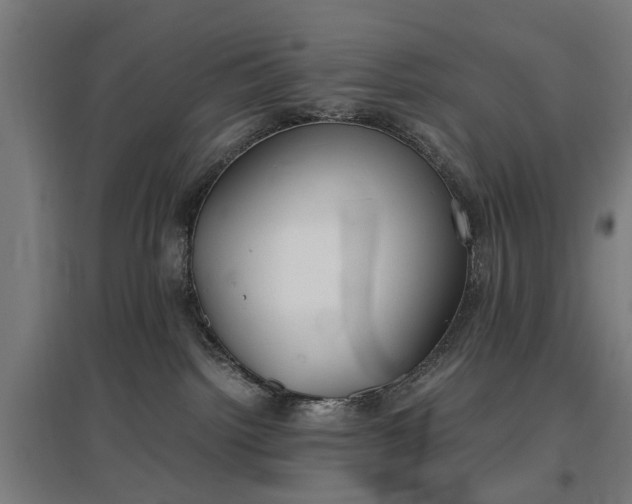 X0000096960092200802151245