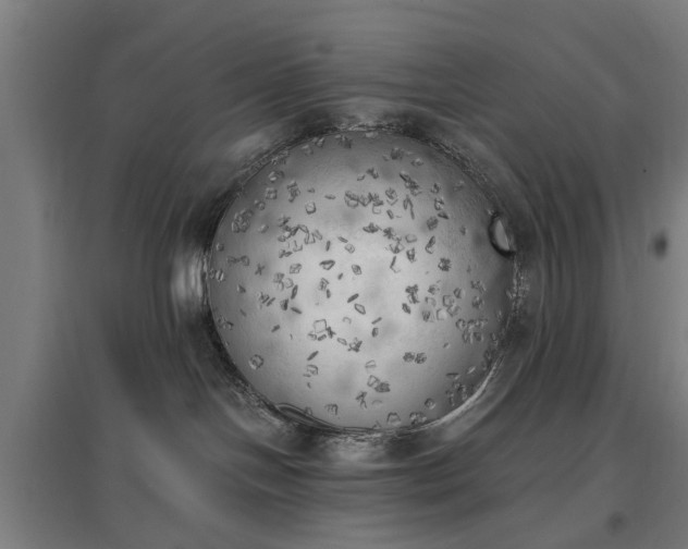 X0000096960094200802151245