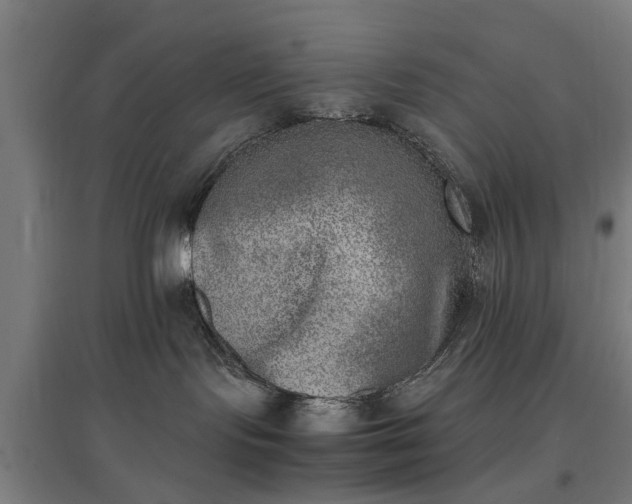 X0000096960095200802151245