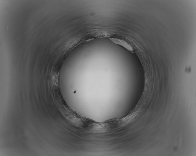 X0000096960096200802151245