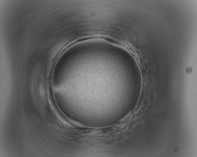 X0000096960097200802151245